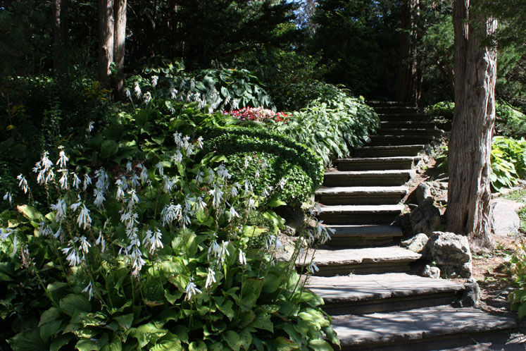 Stairs in Edwards Gardens 12628